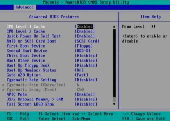 Advanced BIOS Features Advanced BIOS Features